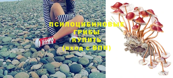 не бодяженный Верхний Тагил