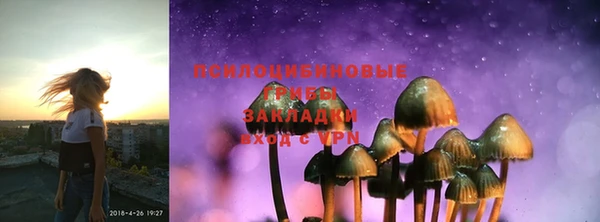 не бодяженный Верхний Тагил