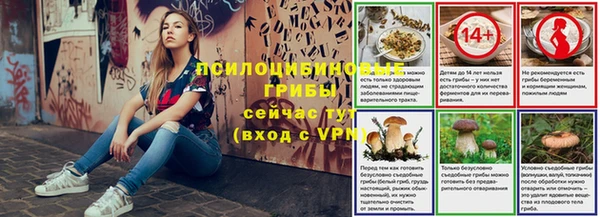 стаф Верея