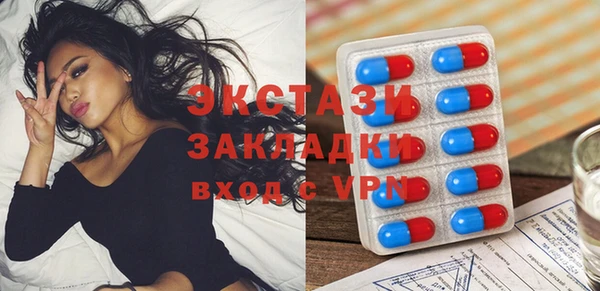 стаф Верея