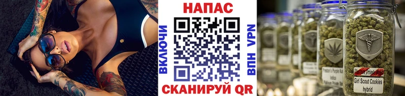 Шишки марихуана Ganja  цены   Высоцк 